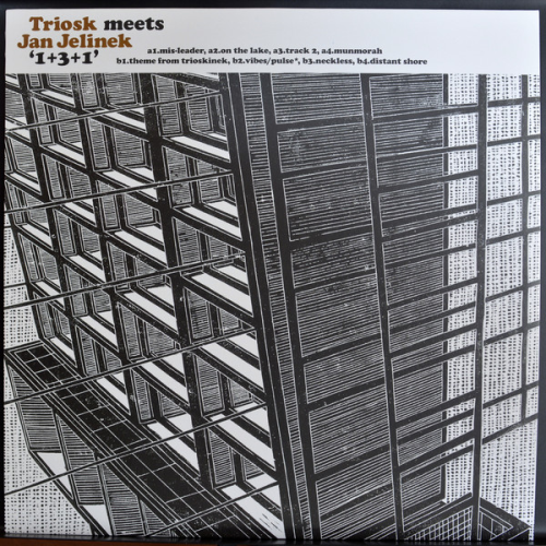 Triosk Meets Jan Jelinek - 1+3+1