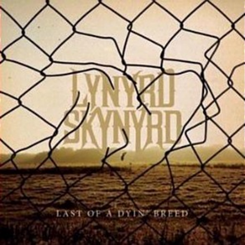 Lynyrd Skynyrd - Last Of A Dying Breed