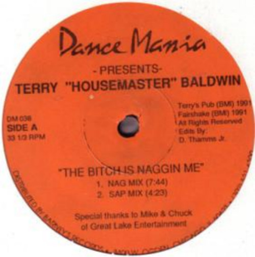 Terry "housemaster" Baldwin - The Bitch Is Naggin Me / Hands Up (you Got The Love)