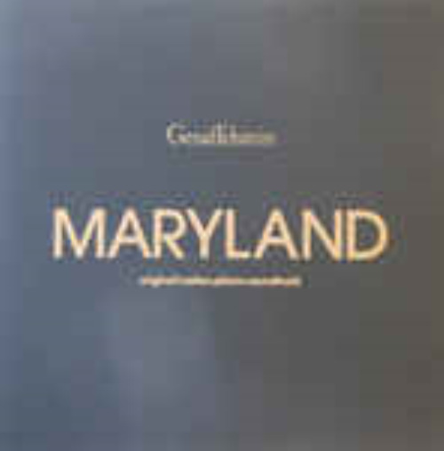 Gesaffelstein - Maryland (original Motion Picture Soundtrack)