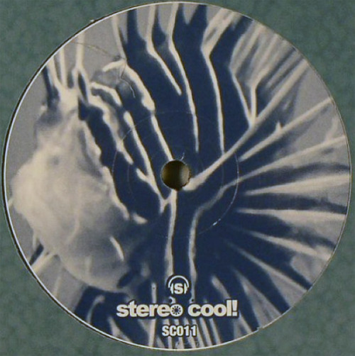 Zebra - Bahia Azul