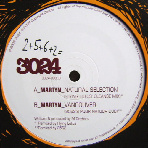 Martyn - Natural Selection (flying Lotus' Cleanse Mix) / Vancouver (2562's Puur Natuur Dub)