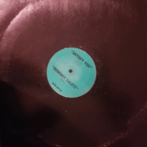 PUFF DADDY / TERROR SQUAD - Satisfy You / Rudeboy Salute - Disque Maxi x 1