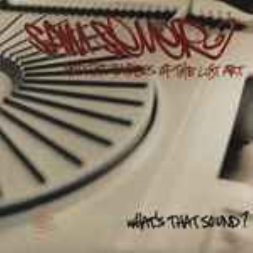 Sam Sever And The Raiders Of The Lost Art - What's That Sound?