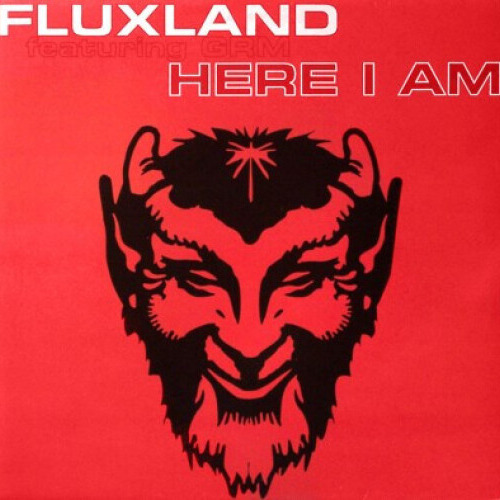 FLUXLAND (2), G.R.M. - Here I Am - Disque Maxi x 1
