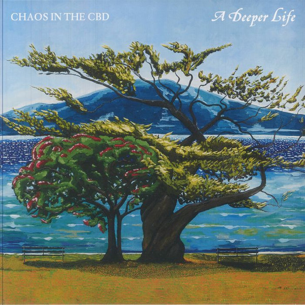 CHAOS IN THE CBD - A Deeper Life - LP x 2
